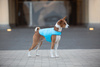 AiryVest kurtka peleryna dla psa, M, B 52-62 сm, С 36-47 сm niebieski