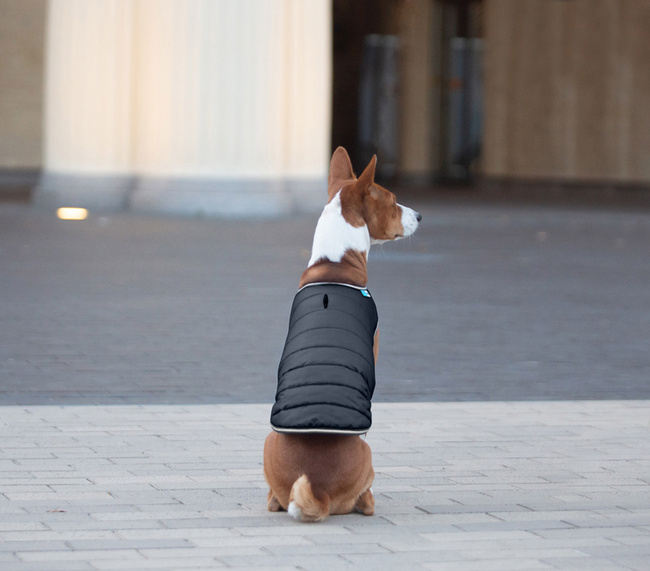 AiryVest kurtka peleryna dla psa, S, B 41-51 сm, С 25-35 сm czarny