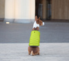 AiryVest kurtka peleryna dla psa, S, B 41-51 сm, С 25-35 сm jasnozielony