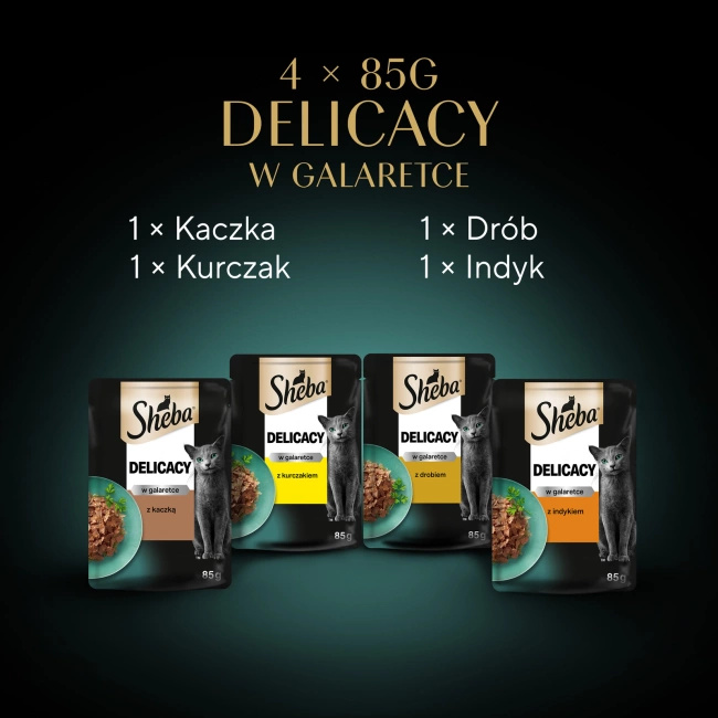 Sheba Saszetka Delicacy In Jelly Smaki Drobiowe 4x85g