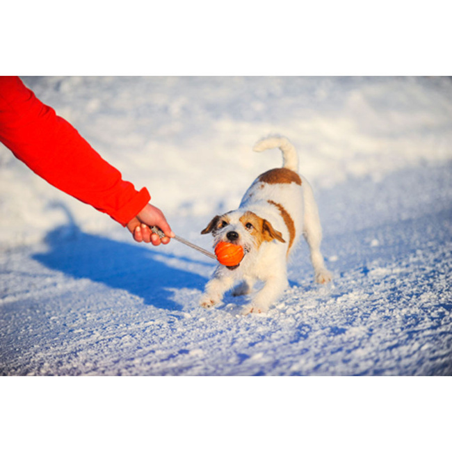 Piłka na sznurku, średnica 5 cm - LIKER
