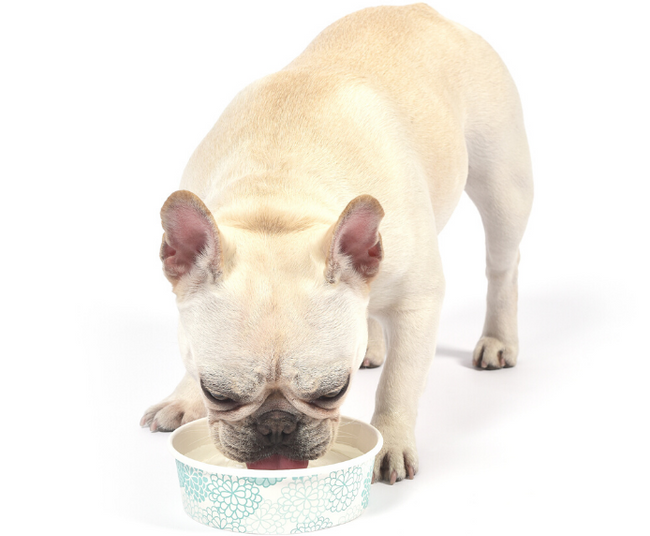 Dodatek do wody Kokos do pielęgnacji zębów 473 ml ARM AND HAMMER