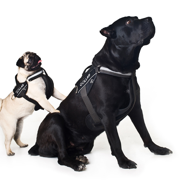 Szelki "Dog Extreme" "POLICE" №2 (В:44-60cm) czarny