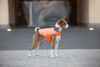 AiryVest kurtka peleryna dla psa, L, B 58-70 сm, С 42-52 сm pomarańczowy