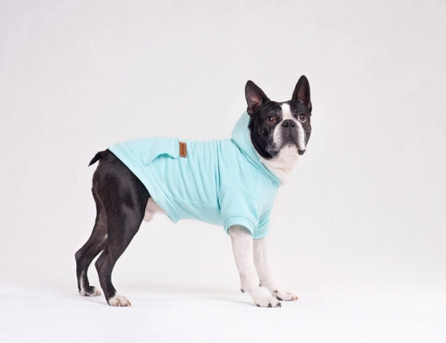 AMIPLAY Bluza Z Kapturem Texas Czerwona 50cm