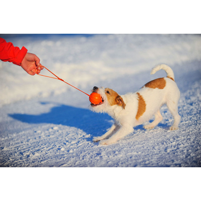 Piłka na taśmie,  średnica 5 cm - LIKER