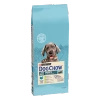 Purina Dog Chow Large Breed Puppy Z Indykiem 14kg