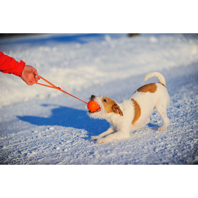 Piłka na taśmie,  średnica 5 cm - LIKER