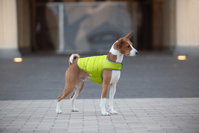 AiryVest kurtka peleryna dla psa, L, B 58-70 сm, С 42-52 сm jasnozielony