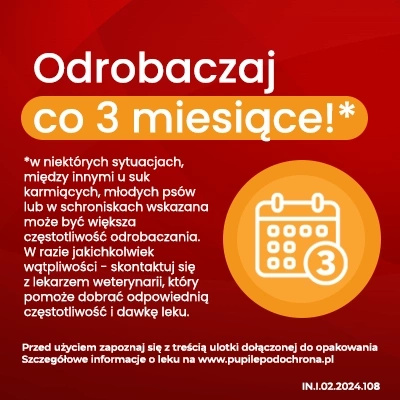 Vet-Agro InPar Tabletki Odrobaczające Dla Psa 6szt