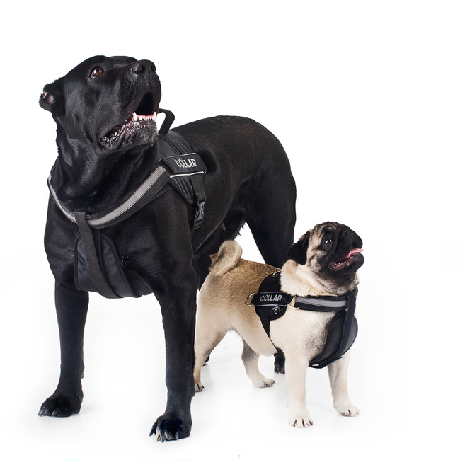 Szelki "Dog Extreme" "POLICE" №2 (В:44-60cm) czarny